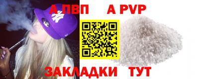 стаф Камень-на-Оби